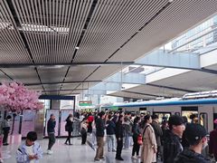 -循礼门(地铁站)