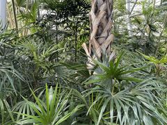 -北京植物园-展览温室