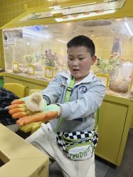 -神奇动物撸宠馆·羊驼·小浣熊·异宠(豫园店)