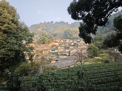 -杨家堂村
