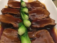 -席家花园(巨鹿花园店)