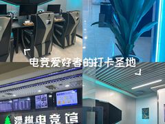 -绿树电竞(五路店)