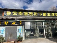 -蘑统田下·野生菌火锅