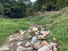 -东莞市大岭山森林公园