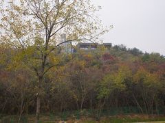 -羊山湖公园