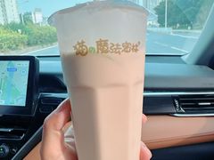 -猫的魔法密林(衣裳街店)