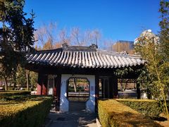 -团结湖公园