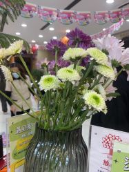 -丝念美发·专注烫染