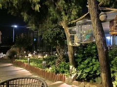 -蘇河湾·新鲁菜·泰山宴(泰山店)