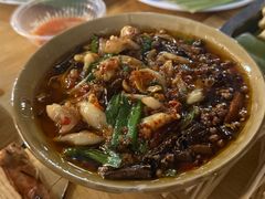 呛鱿鱼-杨合林啊兰烤鱼
