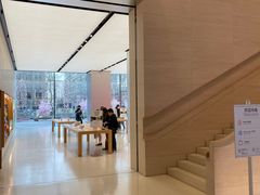 -Apple零售店(玄武湖店)