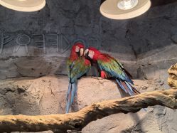 -Zoolung Zoolung动物主题公园(海信广场店)