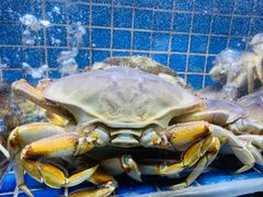 -徐记海鲜(汉城湖|太奥店)