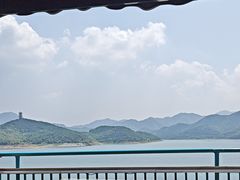 -望湖烤鱼