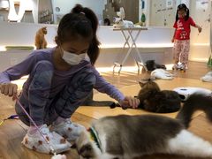 -COLOR PETS 撸猫馆·购猫·猫咖(长风大悦城店)