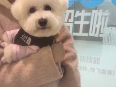 -帕帕拉兹宠物(亚洲旗舰店)