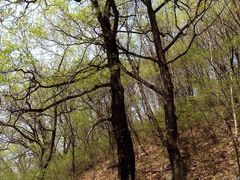 -白草畔自然风景区