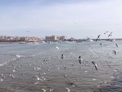 -华联商厦(火车站店)