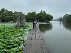 -鲁镇