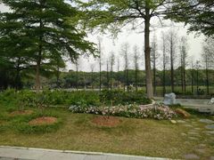 -东莞植物园