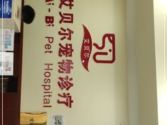 -艾贝尔宠物诊疗