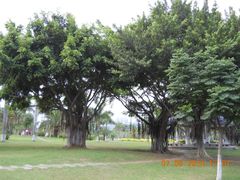 景点-白鹭洲公园