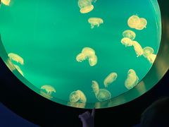 -南京海底世界