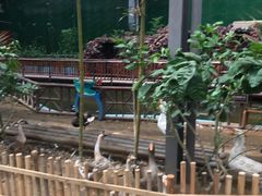 -呀路古热带植物园