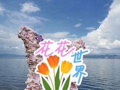 -抚仙湖禄充风景区
