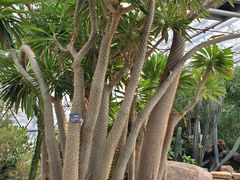 -北京植物园-展览温室