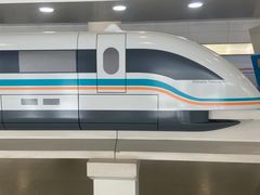 -龙阳路磁悬浮列车总站-停车场