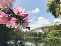 -重庆文理学院(星湖校区)
