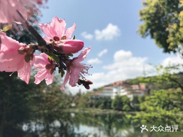 重庆文理学院(星湖校区)图片