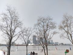 -上海山野camping·户外天幕烧烤·团建拓展营地