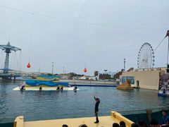 -秦皇岛乐岛海洋王国