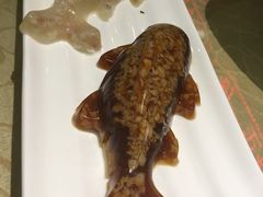 -百姓渔村(朝阳店)