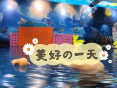 -ABC Swim亲子游泳俱乐部(河西店)