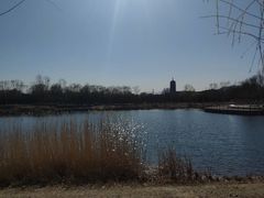 -永定河休闲森林公园