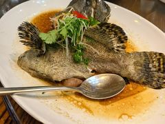-大门水乡·顺德菜