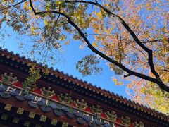 -灵谷景区