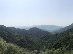-大岭沟猕猴桃谷风景区