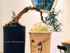 青山外.大红袍奶茶-成川茶店·潮汕工夫浓茶(万象店)