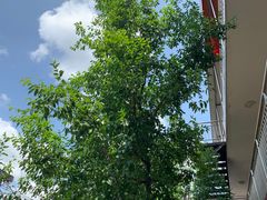 -何适山庄 ·可团建(水长城P2停车场店)