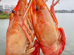 -七的湖·江南蟹舫·阳澄湖农家菜(蟹舫苑店)