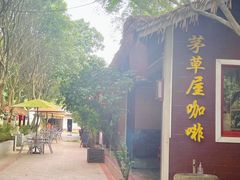 -福山迈臣农家乐