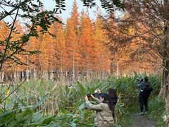 -白鹭湾湿地公园