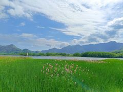 -大九湖