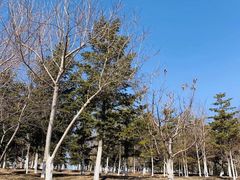 -莫子山公园