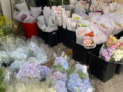 -循礼门鲜花花市(武汉循礼门店)