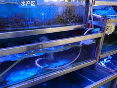 -八仔大富楼·河鲜(西江店)